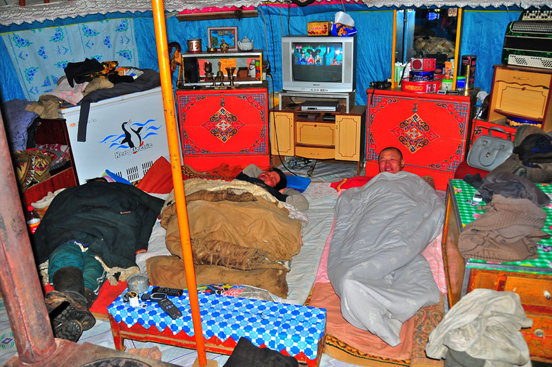 Mongolie